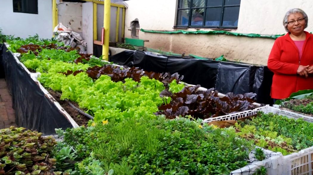 Agricultura Urbana fuente-espectador